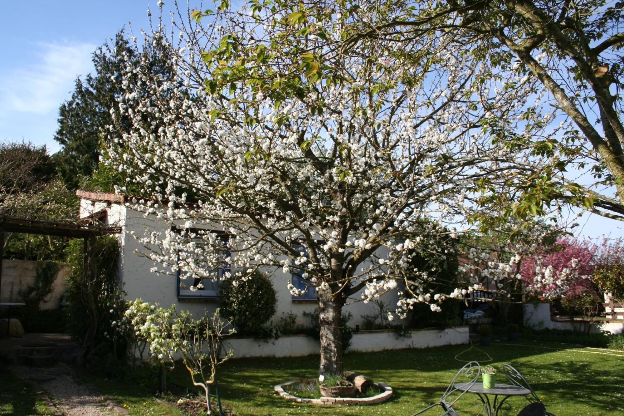 Le Cerisier Bed & Breakfast Mareil-Marly Luaran gambar