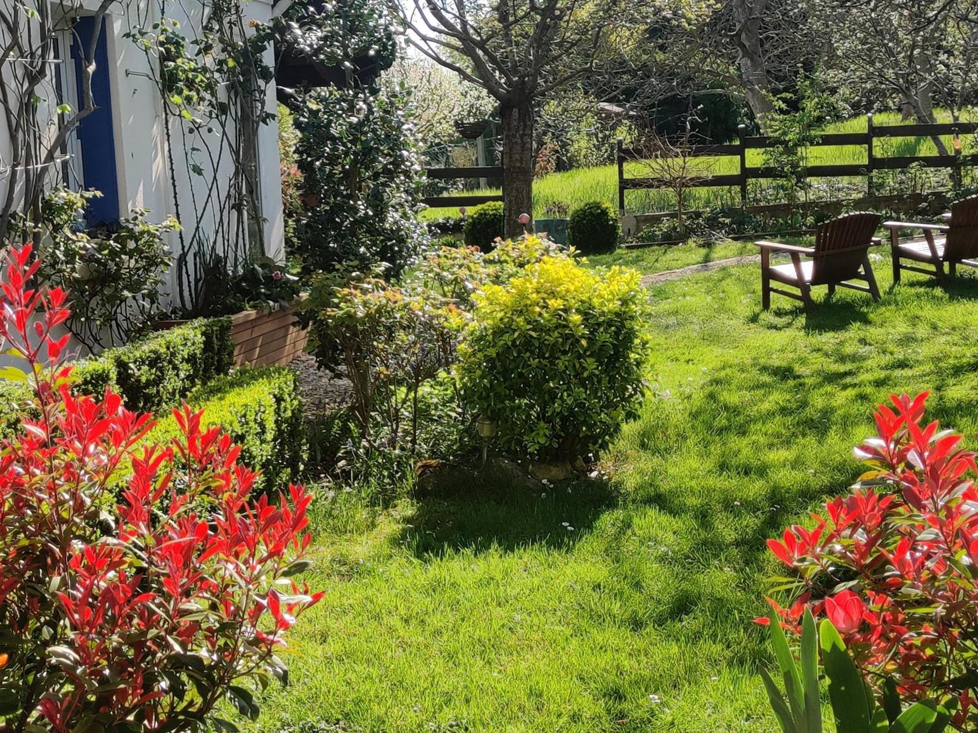 Le Cerisier Bed & Breakfast Mareil-Marly Luaran gambar